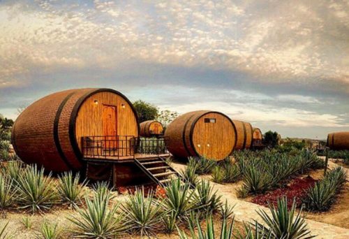 Εσείς θα μένατε σε ένα βαρέλι τεκίλας;