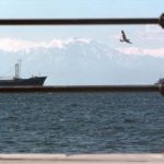 Θεσσαλονίκη: Ερασιτέχνης ψαράς ανασύρθηκε νεκρός από τον Θερμαϊκό