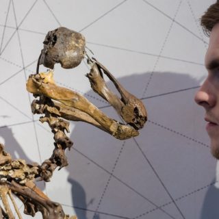 Σπάνια αντικείμενα από τον τομέα της επιστήμης και της φυσικής ιστορίας σε δημοπρασία