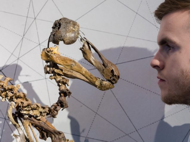 Σπάνια αντικείμενα από τον τομέα της επιστήμης και της φυσικής ιστορίας σε δημοπρασία