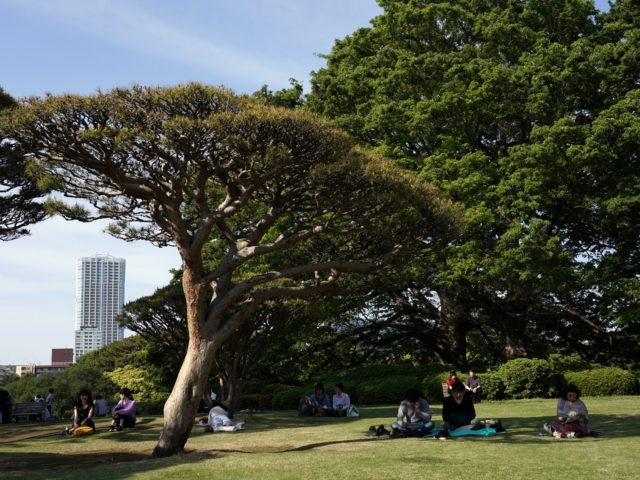 Βόλτα στα πάρκα της Ασίας