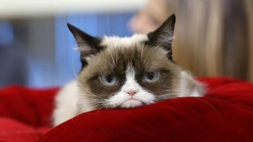 Πέθανε η Grumpy Cat