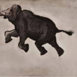 «Εγχάρακτη Κιβωτός»: Η πρώτη ατομική έκθεση της Ελένης Μαραγκάκη Ξηρομάμου