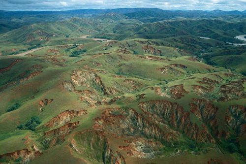 Σχεδόν 600 είδη φυτών έχουν εξαφανιστεί τα τελευταία 250 χρόνια, με ρυθμό υπερδιπλάσιο από τα ζώα