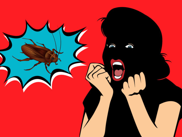 Μια «Κατσαριδούλα, η μικρή Τερέζα», ο Μεγαλύτερος Καλοκαιρινός μας Φόβος…