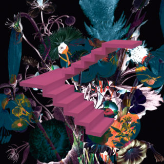 Οι σκάλες, της Όλγας Βότση