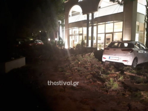 Χαλκιδική: Έξι νεκροί από τη φονική καταιγίδα