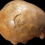 Ελληνίδες ερευνήτριες «εξιχνίασαν» φόνο που έγινε πριν 33.000 χρόνια