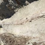 Μυτιλήνη: Δυο γιγάντιοι κορμοί απολιθωμένων κωνοφόρων δένδρων αποκαλύφθηκαν κατά τη διάρκεια ανασκαφών