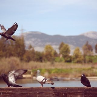 Τρυφερές συναντήσεις σ’ ένα παγκάκι στην Αθήνα τον Αύγουστο