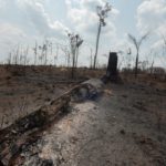 Αμαζόνιος: Η Βραζιλία απορρίπτει τη βοήθεια της G7