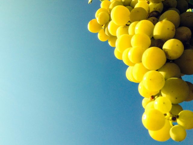 Τα φρούτα του καλοκαιριού