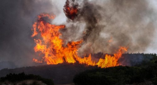 Επίτροπος Στυλιανίδης: Δυνάμεις του RescEU στο πλευρό της Ελλάδας για τις φωτιές.