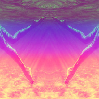 Το καλοκαίρι τους κατάπιε