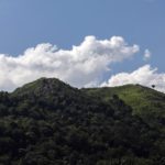 Μαλαισία: Η βιομηχανία του φοινικέλαιου ευθύνεται για την αποψίλωση του 39% των δασών του Βόρνεο από το 2000 και μετά