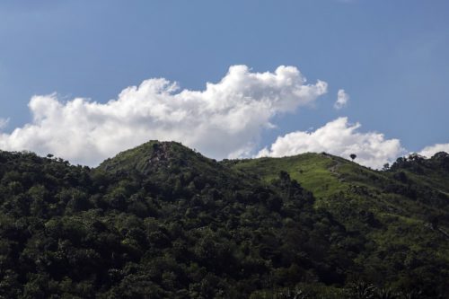 Μαλαισία: Η βιομηχανία του φοινικέλαιου ευθύνεται για την αποψίλωση του 39% των δασών του Βόρνεο από το 2000 και μετά
