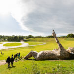 Eπτά τρολ εμφανίστηκαν σ’ ένα βέλγικο δάσος