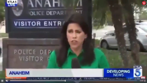 Αυτή η ρεπόρτερ έχει τις καλύτερες πηγές, αφού μιλάει μέχρι και με νεκρούς για να βγει το ρεπορτάζ [VIDEO]