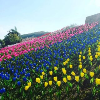 Μια πόλη στις νότιες Φιλιππίνες μετέτρεψε τα πλαστικά απορρίμματα σε τουλίπες