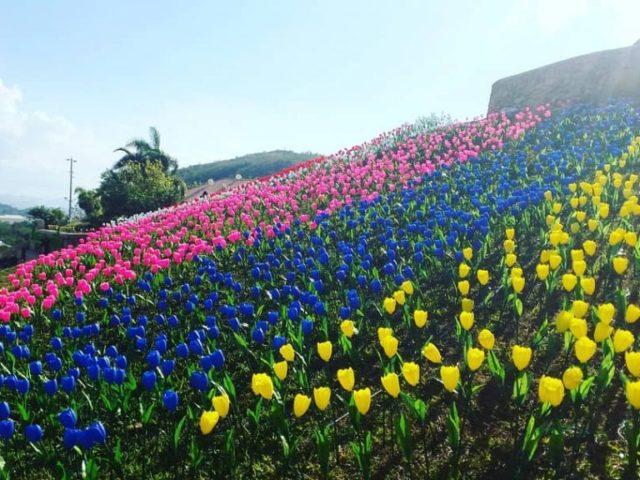 Μια πόλη στις νότιες Φιλιππίνες μετέτρεψε τα πλαστικά απορρίμματα σε τουλίπες