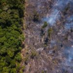 Η αποψίλωση του Αμαζονίου ενισχύεται από τη βία του οργανωμένου εγκλήματος και την ατιμωρησία στη Βραζιλία