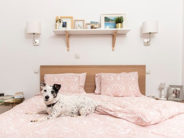 9 τρόποι να μειώσεις την σκόνη, για να μην ξεσκονίζεις συνέχεια