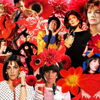 Pedro Almodovar: 71 años de amor