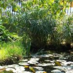 Ανοίγει για το κοινό ο Βοτανικός Κήπος του ΕΚΠΑ