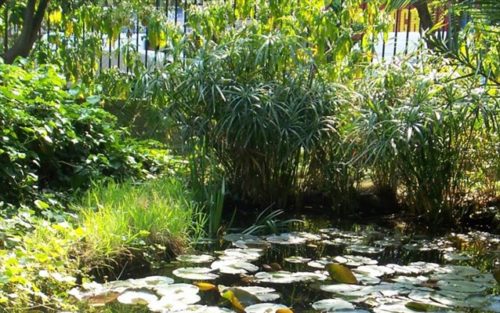 Ανοίγει για το κοινό ο Βοτανικός Κήπος του ΕΚΠΑ