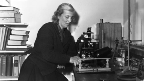 Women who changed science: μια διαδικτυακή εμπειρία-έμπνευση για τις γυναίκες επιστήμονες του μέλλοντος