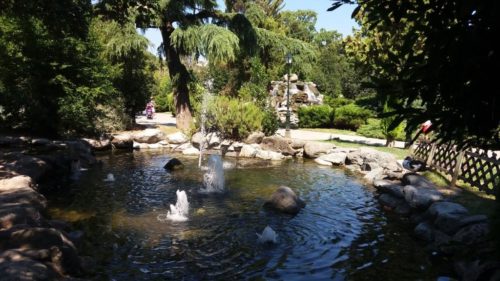 Νέα επίθεση με άλλα τέσσερα νεκρά ελάφια στο δημοτικό κήπο Κατερίνης