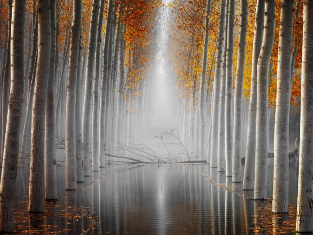 Οι 14 Καλύτερες Φωτογραφίες Φύσης για το 2019