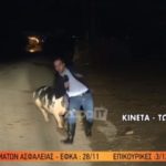 Γουρούνι κυνηγάει ρεπόρτερ ζωντανά στον αέρα (ΒΙΝΤΕΟ)