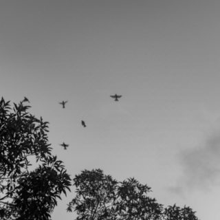 Μίλα ρε… (μισ)άνθρωποι σε σύγχυση σε τρώνε