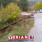 Βέροια: Άγνωστοι πριόνισαν κολόνες της ΔΕΗ που έδιναν ρεύμα σε δομή φιλοξενίας προσφύγων