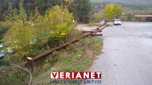 Βέροια: Άγνωστοι πριόνισαν κολόνες της ΔΕΗ που έδιναν ρεύμα σε δομή φιλοξενίας προσφύγων