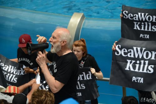 Ο Τζέιμς Γκρόμγουελ συνελήφθη σε διαδήλωση της PETA στο Τέξας