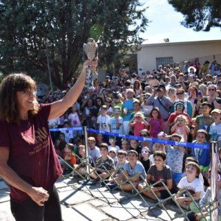 Μαρία Γανωτή, η πρόεδρος της ANIMA μιλά στην Popaganda