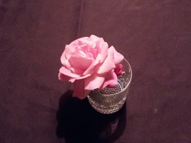 Ένας Κρυφός Κήπος στον Φωταγωγό. Νέα έκθεση φωτογραφίας.