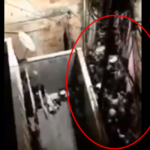 Βραζιλία: Εννέα άνθρωποι έχασαν τη ζωή τους όταν ποδοπατήθηκαν σε πάρτι