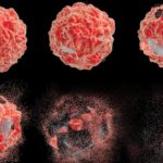 Ανακαλύφθηκε κύτταρο που ίσως θεραπεύει τον καρκίνο