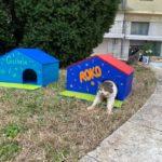 Κροατία: Στέγη σε αδέσποτες γάτες …σταρ δίνουν υπάλληλοι του Εθνικού Θεάτρου