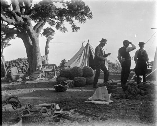 Συνεχίζεται ο «Κύκλος Αρχαιολογικών Διαλέξεων» με θέμα την Κρήτη, στο Μουσείο Κυκλαδικής Τέχνης