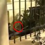 Ασφαλίτης τράβηξε όπλο στην ΑΣΟΕΕ (ΒΙΝΤΕΟ)