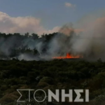 Φωτιά σε δάσος στη Λέσβο από χειροβομβίδες κρότου-λάμψης
