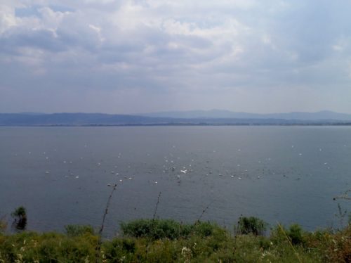 Τρεις άνδρες εντοπίστηκαν νεκροί στην περιοχή της Μικρής Βόλβης