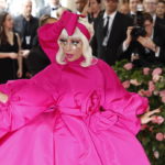 Νέο είδος εντόμου παίρνει το όνομά του από την Lady Gaga