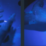 Κορονοϊός: Αν πλένουμε τα χέρια μας λιγότερο από 20 δευτερόλεπτα, δεν κάνουμε τίποτα… (ΒΙΝΤΕΟ)