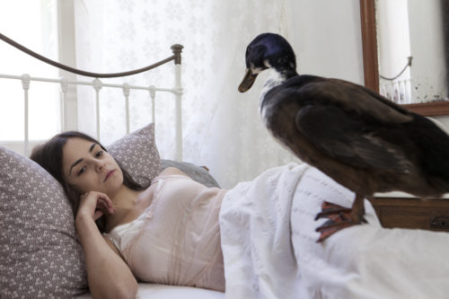 Δείτε δωρεάν την πολυβραβευμένη «Αγριόπαπια» του Ίψεν σε σκηνοθεσία Δημήτρη Τάρλοου