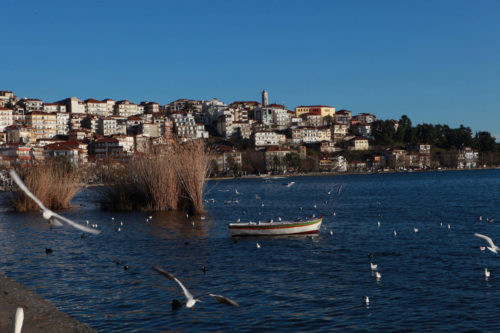 Αρκούδα με τα δύο μικρά της έκανε βόλτα σε παραλίμνια περιοχή της Καστοριάς